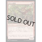 茨守りの隊長/Brambleguard Captain《日本語》【BLB】