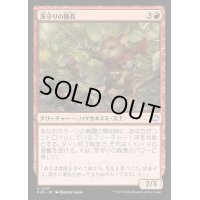茨守りの隊長/Brambleguard Captain《日本語》【BLB】