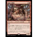 裏道の交換者/Byway Barterer《日本語》【BLB】