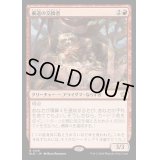 [EX+](FOIL)裏道の交換者/Byway Barterer《日本語》【BLB】