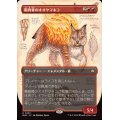 [EX+](フルアート)陽背骨のオオヤマネコ/Sunspine Lynx《日本語》【BLB】