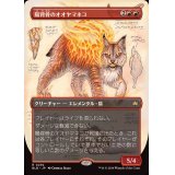 (フルアート)陽背骨のオオヤマネコ/Sunspine Lynx《日本語》【BLB】