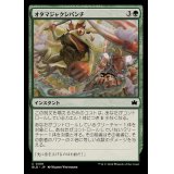 (FOIL)オタマジャクシパンチ/Polliwallop《日本語》【BLB】