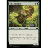 (FOIL)三本木の樹根織り/Three Tree Rootweaver《日本語》【BLB】