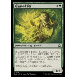 (FOIL)危険根の薬草医/Hazardroot Herbalist《日本語》【BLB】