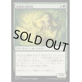 危険根の薬草医/Hazardroot Herbalist《日本語》【BLB】
