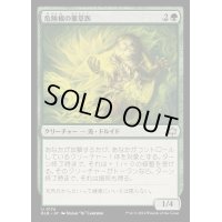 危険根の薬草医/Hazardroot Herbalist《日本語》【BLB】
