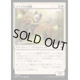 [EX+](FOIL)イラクサの護衛/Nettle Guard《日本語》【BLB】