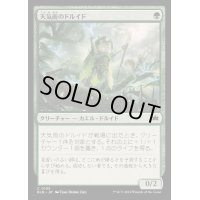 [EX+](FOIL)天気雨のドルイド/Sunshower Druid《日本語》【BLB】