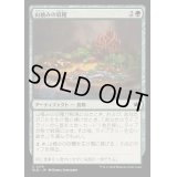 [EX+](FOIL)山積みの収穫/Heaped Harvest《日本語》【BLB】