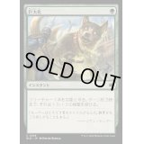 巨大化/Giant Growth《日本語》【BLB】