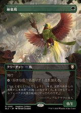 (フルアート)極楽鳥/Birds of Paradise《日本語》【BLC】