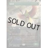 [EX+](フルアート)極楽鳥/Birds of Paradise《日本語》【BLC】