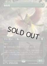 [EX](FOIL)(フルアート)極楽鳥/Birds of Paradise《日本語》【BLC】
