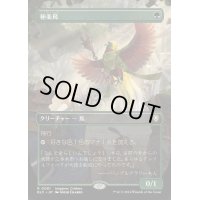 [EX](FOIL)(フルアート)極楽鳥/Birds of Paradise《日本語》【BLC】