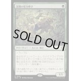 (FOIL)渓間の怪力呼び/Valley Mightcaller《日本語》【BLB】