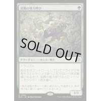 (FOIL)渓間の怪力呼び/Valley Mightcaller《日本語》【BLB】