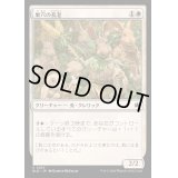 [EX+](FOIL)巣穴の長老/Warren Elder《日本語》【BLB】