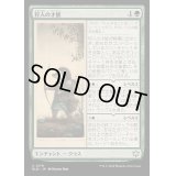 (FOIL)狩人の才能/Hunter's Talent《日本語》【BLB】