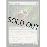 (FOIL)耕作する高原導き/Tender Wildguide《日本語》【BLB】