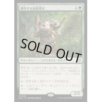 (FOIL)耕作する高原導き/Tender Wildguide《日本語》【BLB】