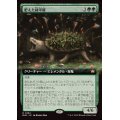 [EX+](フルアート)肥えた緑甲羅/Fecund Greenshell《日本語》【BLB】