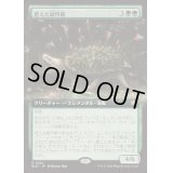 (FOIL)(フルアート)肥えた緑甲羅/Fecund Greenshell《日本語》【BLB】