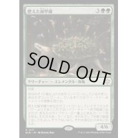肥えた緑甲羅/Fecund Greenshell《日本語》【BLB】