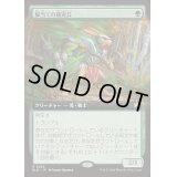 [EX+](フルアート)脚当ての補充兵/Pawpatch Recruit《日本語》【BLB】