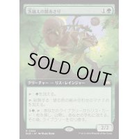 (FOIL)(フルアート)茨越えの餌あさり/Thornvault Forager《日本語》【BLB】