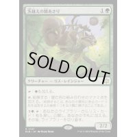 (FOIL)茨越えの餌あさり/Thornvault Forager《日本語》【BLB】