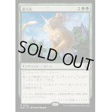 (FOIL)著大化/Colossification《日本語》【BLB】