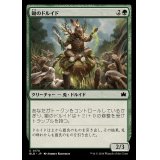 (FOIL)鋤のドルイド/Druid of the Spade《日本語》【BLB】