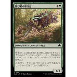 (FOIL)錆び盾の暴行者/Rust-Shield Rampager《日本語》【BLB】