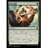(FOIL)長茎の乱闘/Longstalk Brawl《日本語》【BLB】