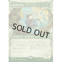 (ショーケース枠)霧息吹の古老/Mistbreath Elder《日本語》【BLB】