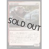 [EX+](FOIL)古参の護衛鼠/Veteran Guardmouse《日本語》【BLB】