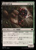 (FOIL)屍苺の耕作者/Corpseberry Cultivator《日本語》【BLB】