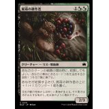 (FOIL)屍苺の耕作者/Corpseberry Cultivator《日本語》【BLB】
