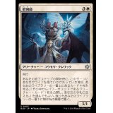 (FOIL)星図師/Star Charter《日本語》【BLB】