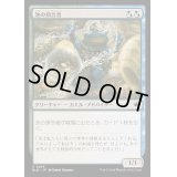 [EX+]池の預言者/Pond Prophet《日本語》【BLB】