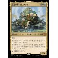 災厄の占い師、グラルブ/Glarb, Calamity's Augur《日本語》【BLB】