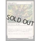 [EX+](FOIL)歴戦の巣穴守り/Seasoned Warrenguard《日本語》【BLB】