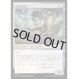 [EX+]豆殻の従者/Seedpod Squire《日本語》【BLB】