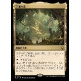 [EX+]三本木市/Three Tree City《日本語》【BLB】