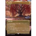 (フルアート)(0339)三本木市/Three Tree City《日本語》【BLB】