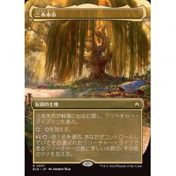 画像1: [EX+](フルアート)(0337)三本木市/Three Tree City《日本語》【BLB】