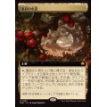 (FOIL)(フルアート)寓話の小道/Fabled Passage《日本語》【BLB】