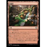 [EX+]岩面村/Rockface Village《日本語》【BLB】