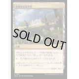 (FOIL)未知なる安息地/Uncharted Haven《日本語》【BLB】